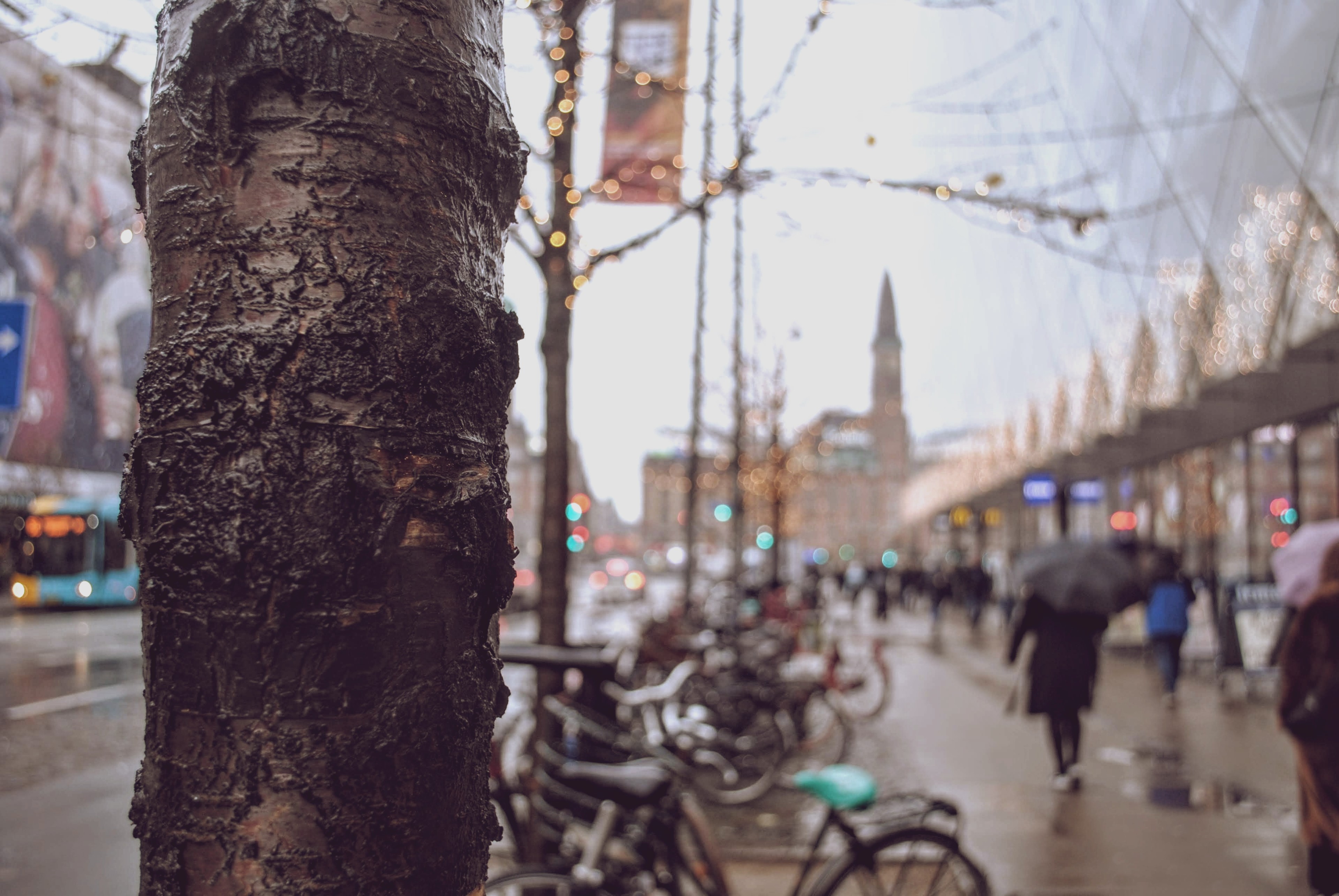 A tree trunk in the foreground, the city street and bokeh of lights behind
