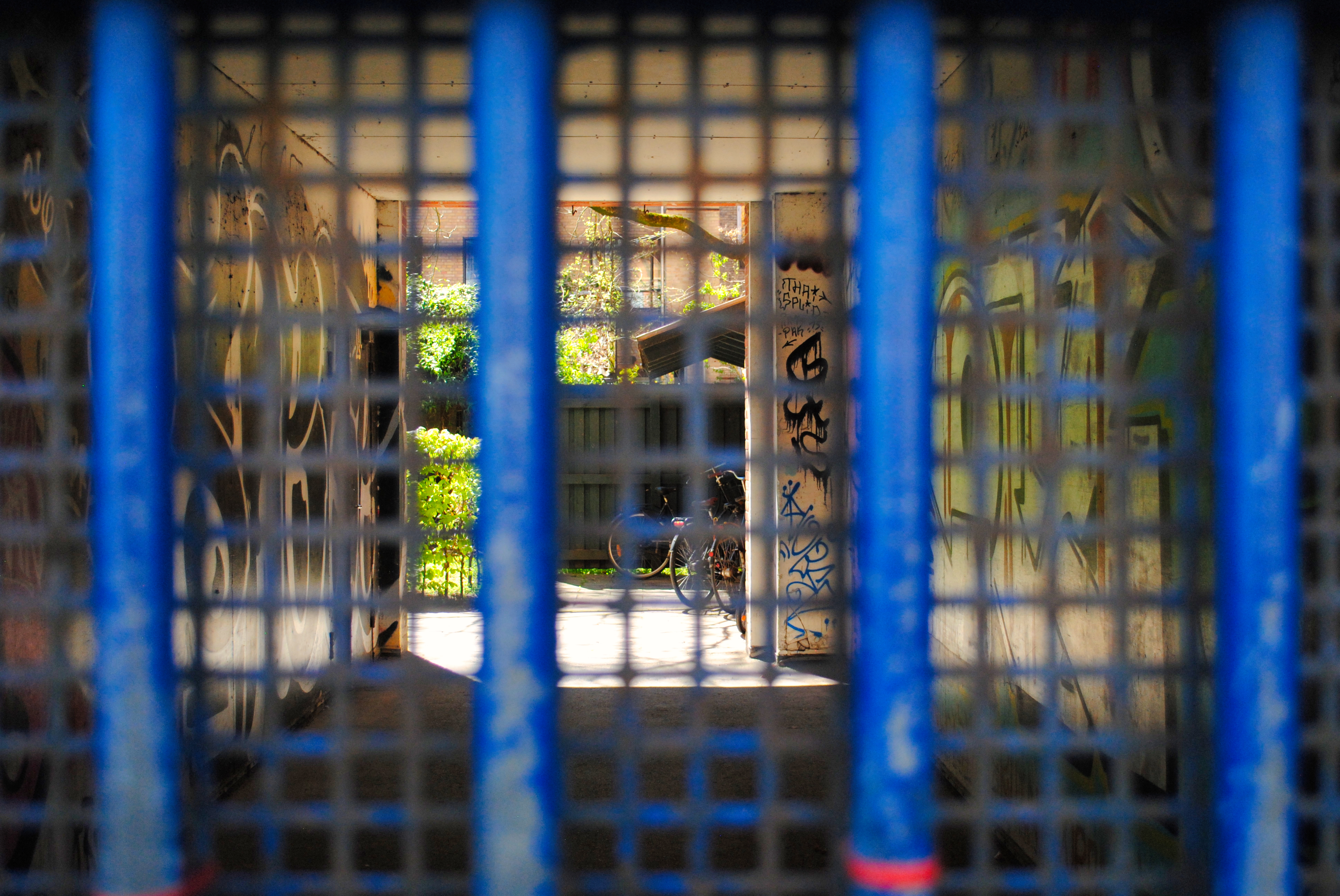 A view through blue painted bars into a graffiti-covered courtyard