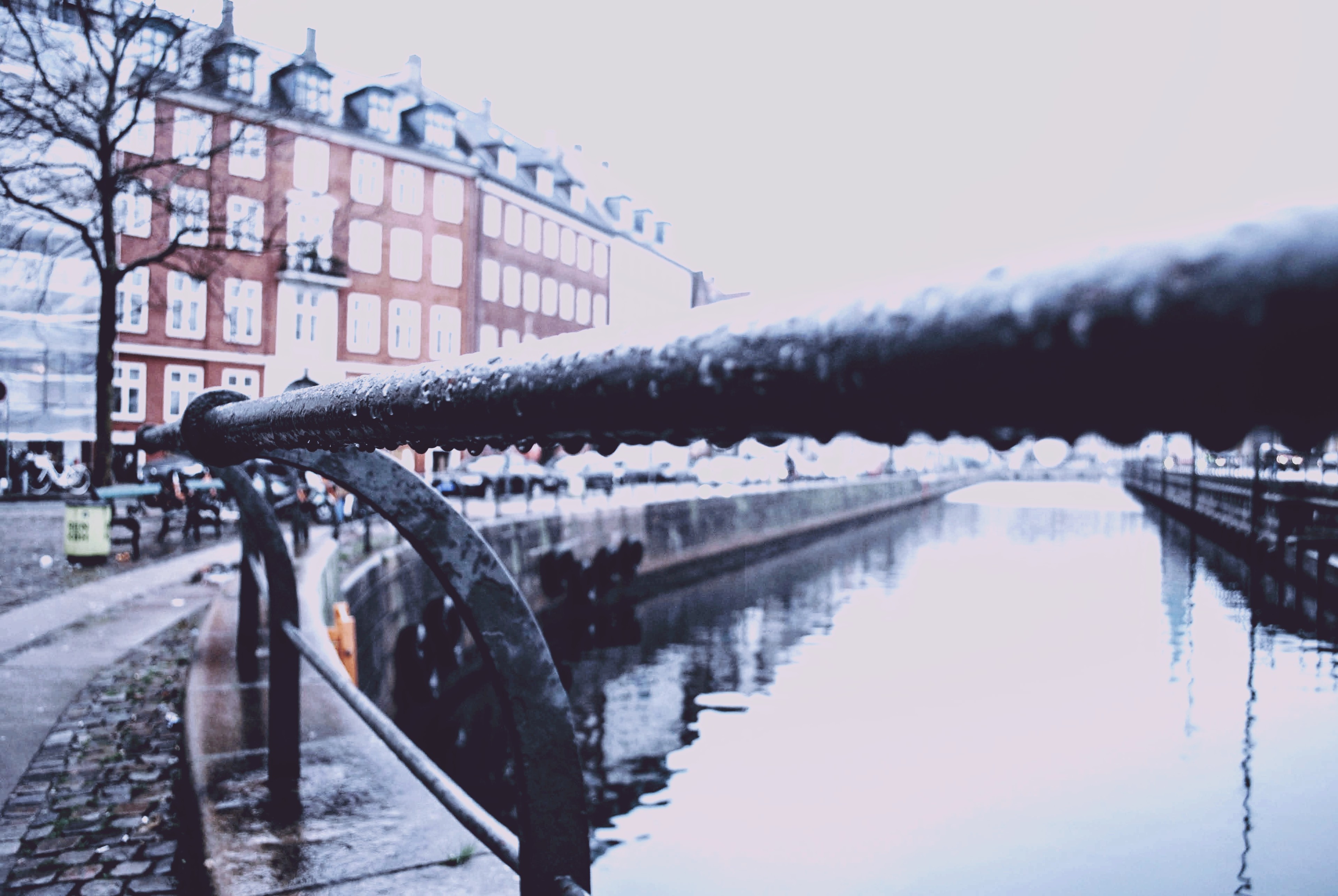A wet iron railing along a Copenhagen canal, red houses on the far bank
